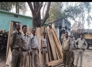 देवभोग वन विभाग की एक ओर बड़ी कार्यवाही 96 नग सागोन चिरान जप्त