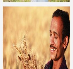 जिले में किसानों के खाते में राजीव गांधी किसान न्याय योजना के तहत भूपेश बघेल ने किया शुभ आरंभ