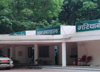 वन विभाग केवल पका पकाये काम कर रही जंगल की हो रही है पूरी सफाई अधिकारी कर्मचारी सुस्त।