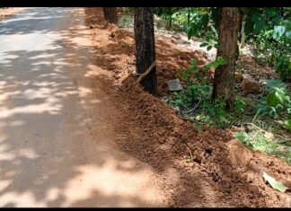 प्रधानमंत्री सड़क योजना में 31 किलोमीटर रोड में गुडवक्ता हीन से काम किया गया