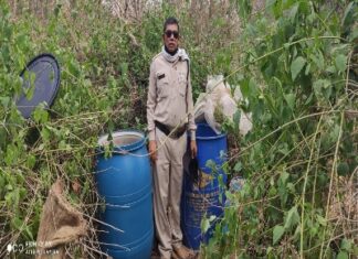 जिला आबकारी विभाग ने छापा मारकर अवैध शराब एवं भारी मात्रा में लहान(पाश) जप्त किया है