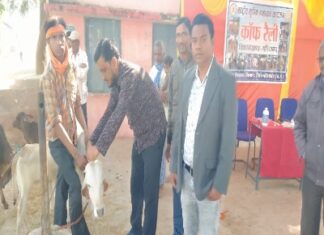 ब्लाक कांग्रेस अध्यक्ष हाफिज खान राष्ट्रीय कृतिम गर्भाधान कार्यक्रम में शामिल हुए