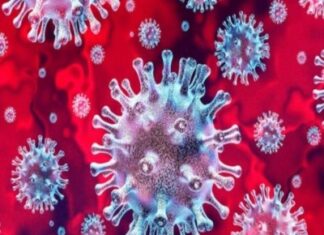 कोरोना कंट्रोल रूम के माध्यम से कोरोना के जानकारी ली जा सकती है