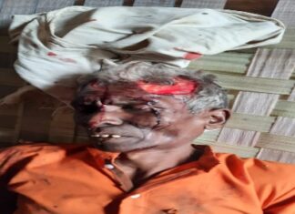 तीन भालू ने मिलकर किया हमला बुजुर्ग घायल । महुआ बीनने के लिए गया था