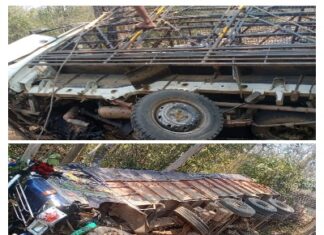 नेशनल हाईवे 130 सी सड़क पथरी नाला धुरवागुड़ी के पास ट्रक और छोटेहाथी में हुई टक्कर