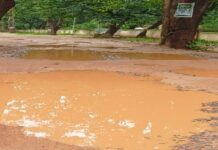 फारेस्ट विभाग के आला अधिकारियों ने खुद खाई मलाई सड़क को मिली छाज, विकास पर रोक, गड्ढे में सड़क जिम्मेदार कौन …..?????