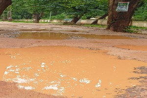 फारेस्ट विभाग के आला अधिकारियों ने खुद खाई मलाई सड़क को मिली छाज, विकास पर रोक, गड्ढे में सड़क जिम्मेदार कौन …..?????