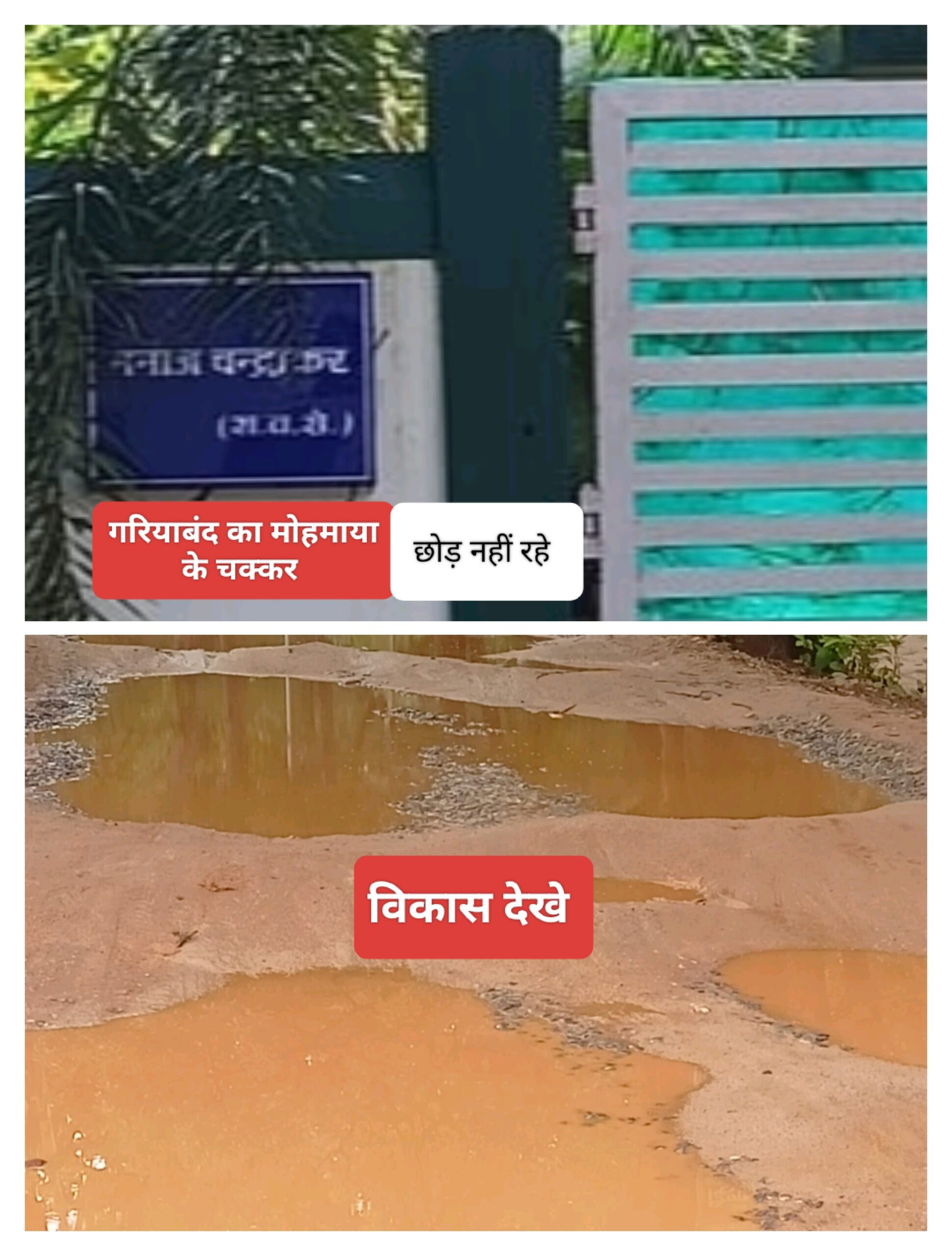 फॉरेस्ट SDO मनोज चंद्राकर देवभोग स्थानांतरण होने पर भी मोहमाया नहीं छोड़ी गरियाबंद में किया कार्य का उच्च स्तर जांच की मांग